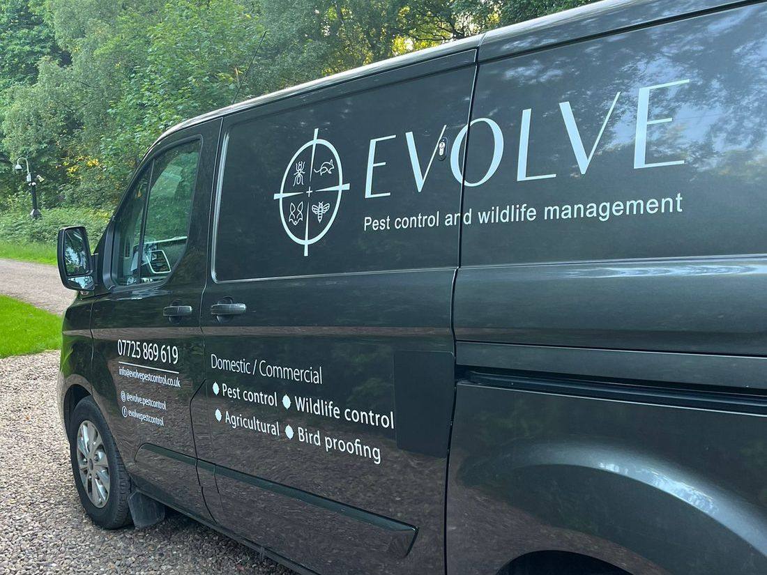 Evolve Pest Control providing a local service